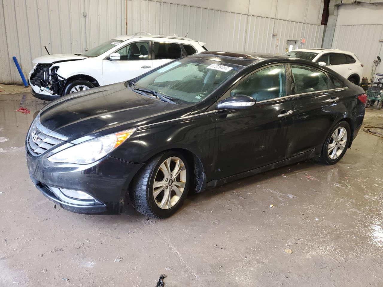 Lot #3048645127 2011 HYUNDAI SONATA SE