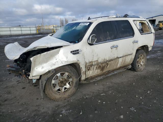 CADILLAC ESCALADE L 2007 beige  gas 1GYFK63887R374459 photo #1