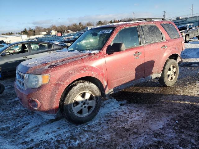 2012 FORD ESCAPE XLT #3052496180