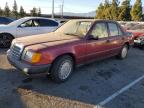 Lot #3045639655 1989 MERCEDES-BENZ 260 E