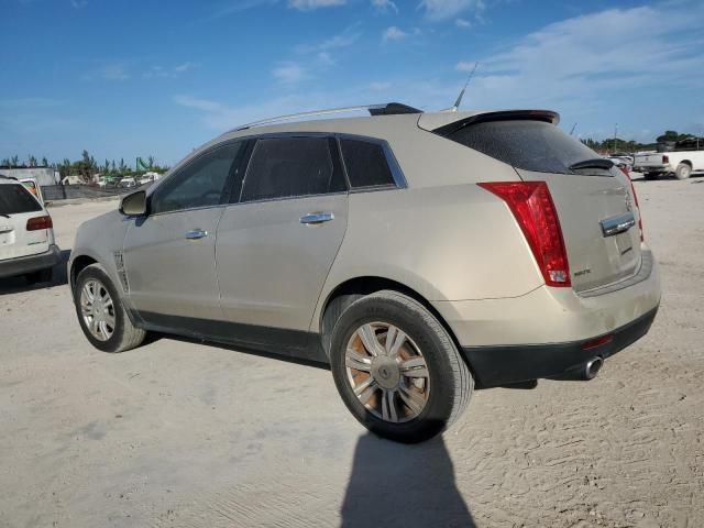 CADILLAC SRX LUXURY 2010 gold 4dr spor gas 3GYFNAEY9AS637117 photo #3