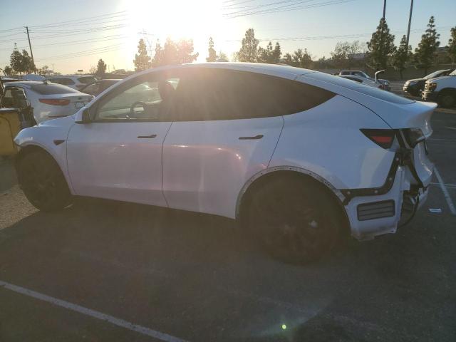 2021 TESLA MODEL Y 5YJYGDEE7MF140063