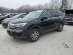 2019 HONDA PILOT EXL - 5FNYF6H51KB054948