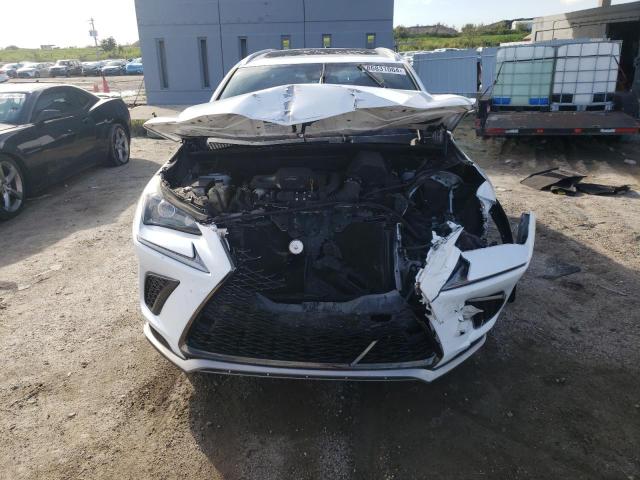 2020 LEXUS NX 300 F S JTJSARBZ2L5006232