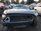 Lot #3055141998 2016 FORD MUSTANG