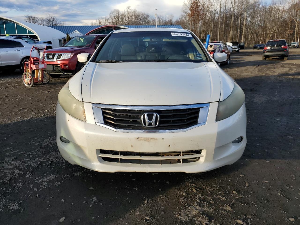 Lot #3052434880 2008 HONDA ACCORD EXL