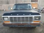 Lot #3045702646 1976 FORD F-250