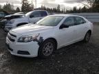 Lot #3052726720 2013 CHEVROLET MALIBU LS