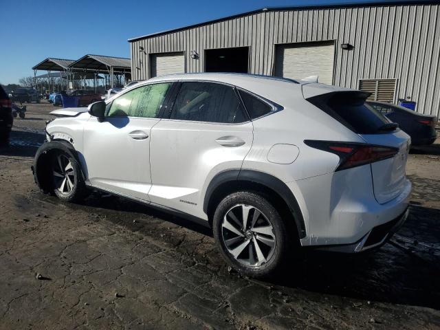 2020 LEXUS NX 300H - JTJGJRDZ2L5005343