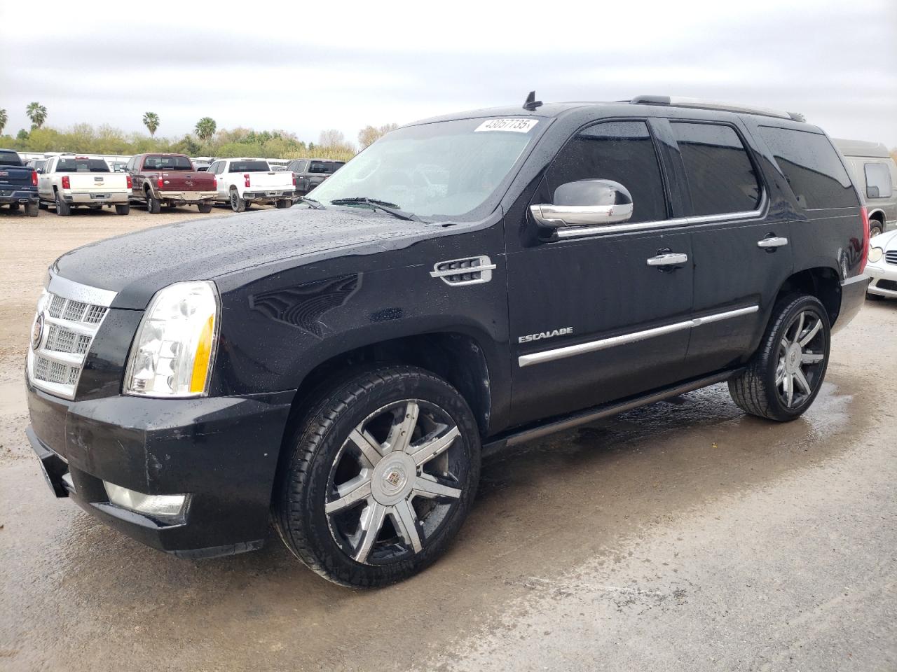  Salvage Cadillac Escalade