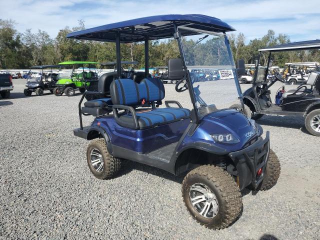 ASPT GOLF CART 2021 blue   FLA111775 photo #1