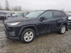 Lot #3052707683 2020 TOYOTA RAV4 XLE