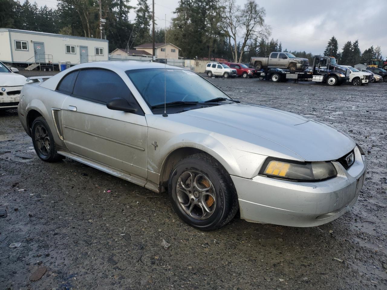 Lot #3052330612 2003 FORD MUSTANG