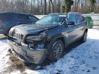 2021 JEEP CHEROKEE L - 1C4PJMMX0MD230968