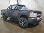 Lot #3303725431 2010 CHEVROLET SILVERADO