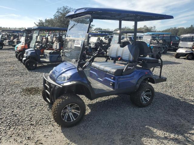 ASPT GOLF CART 2021 blue   FLA111775 photo #3