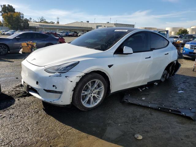 TESLA MODEL Y 2021 white  electric 5YJYGDEE7MF213643 photo #1