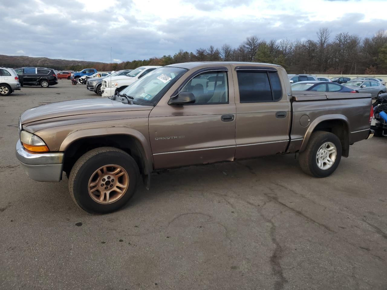 Lot #3045576645 2001 DODGE DAKOTA QUA