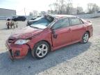 Top Destinations for Shipping Cars from the USA
