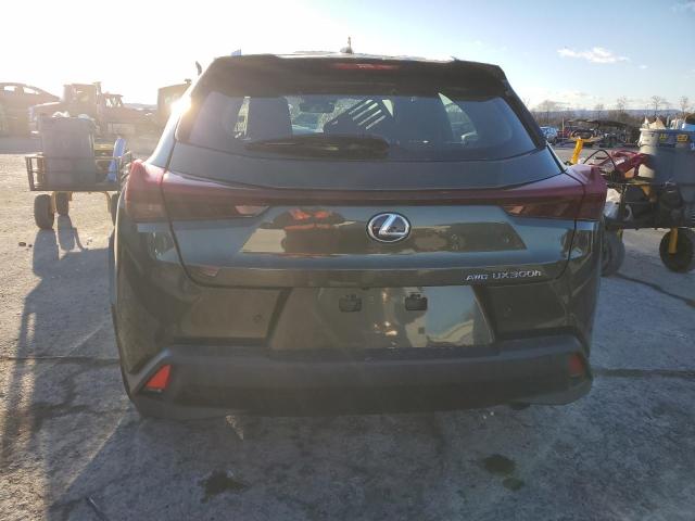 2025 LEXUS UX 300H BA JTHUCJDH8S2000784