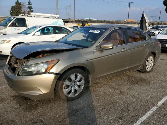 HONDA ACCORD EXL 2010 tan  gas 1HGCP2F82AA080223 photo #1