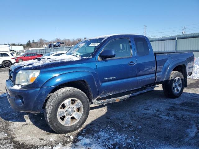 TOYOTA TACOMA ACC 2007 blue club cab gas 5TEUU42N87Z348600 photo #1