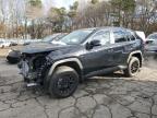 2024 TOYOTA RAV4 XLE - 2T3W1RFV9RC290506