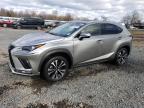 2021 LEXUS NX 300 BAS - JTJSARDZ8M2251603