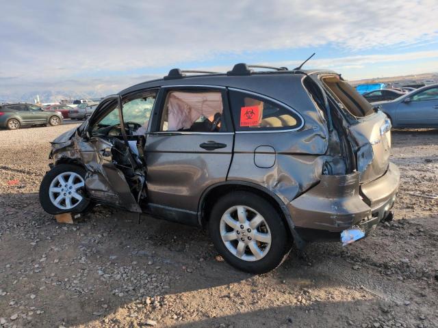 HONDA CR-V EX 2009 tan  gas 5J6RE38569L034881 photo #3