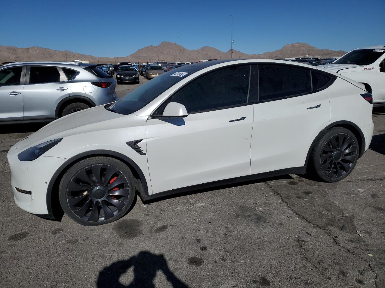 TESLA MODEL Y