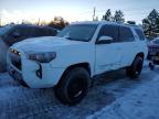 2017 TOYOTA 4RUNNER SR - JTEBU5JR9H5413018