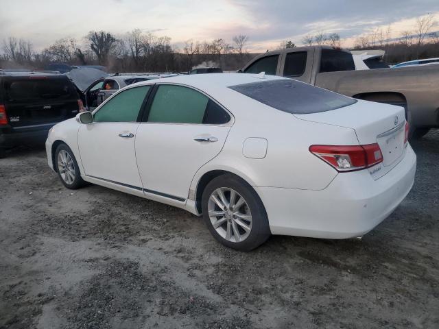 LEXUS ES 350 2010 white sedan 4d gas JTHBK1EG8A2403064 photo #3