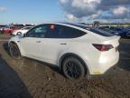 Lot #3046037311 2022 TESLA MODEL Y