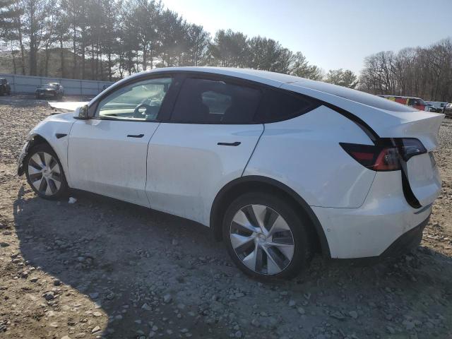 2021 TESLA MODEL Y - 5YJYGDEE8MF070038