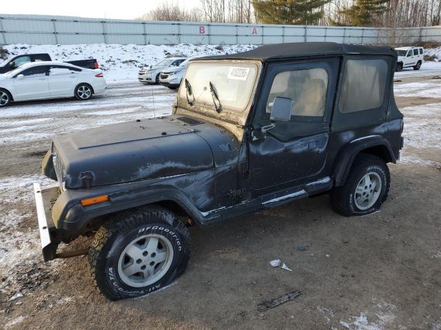 JEEP WRANGLER / 1995 black 2dr spor gas 1J4FY29S3SP289771 photo #1