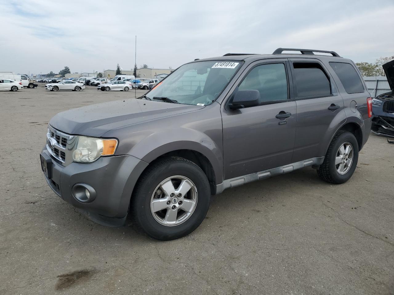 Lot #3045962323 2010 FORD ESCAPE XLT