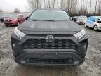 Lot #3052707683 2020 TOYOTA RAV4 XLE