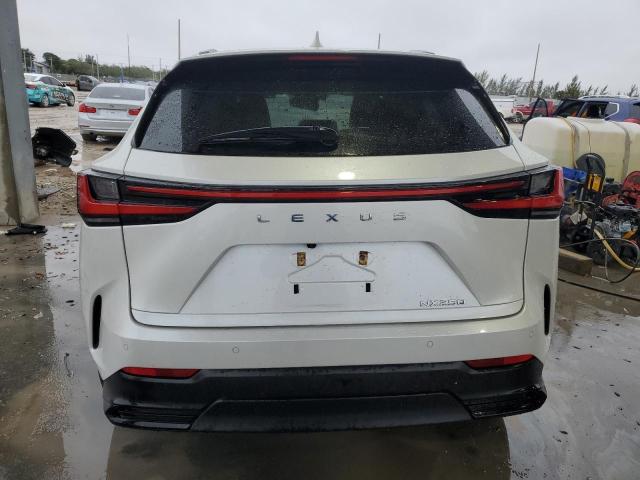 2024 LEXUS NX 250 PRE 2T2GDCAZ2RC012246