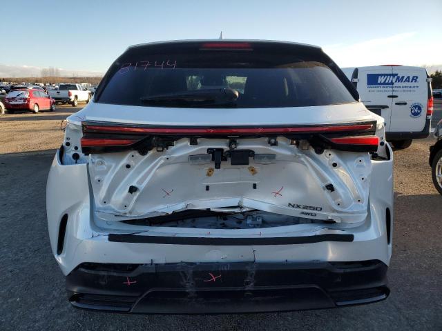 2022 LEXUS NX 250 2T2ADCEZ8NC002363