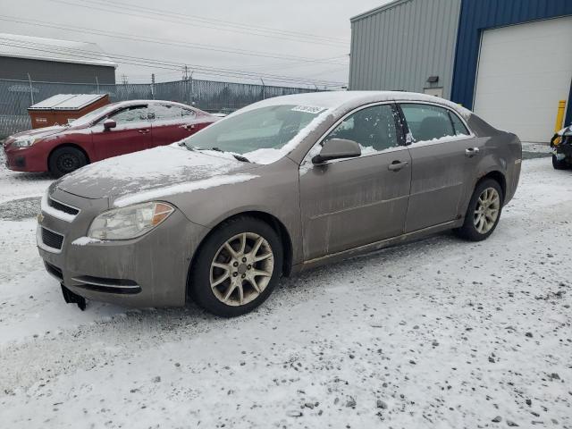 CHEVROLET MALIBU 2LT