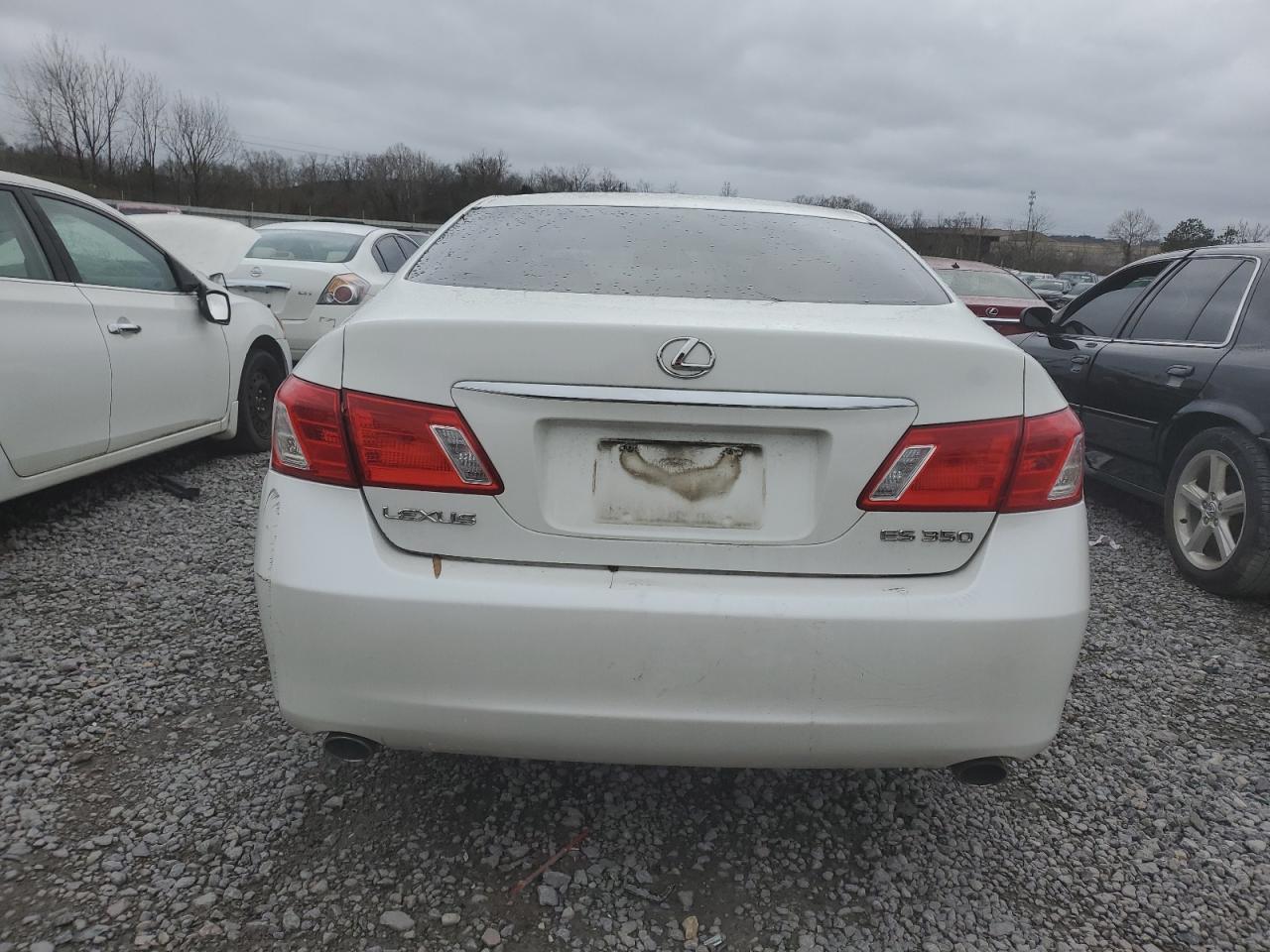 Lot #3048359741 2008 LEXUS ES 350