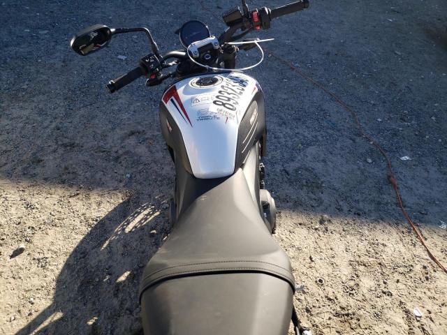 2025 TRIUMPH MOTORCYCLE TRIDENT 66 SMTL10UL7STBX1719