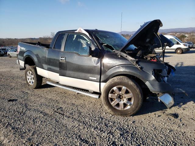 Vin: 1ftfx1et2dfc31371, lot: 87404944, ford f-150 super cab 20134