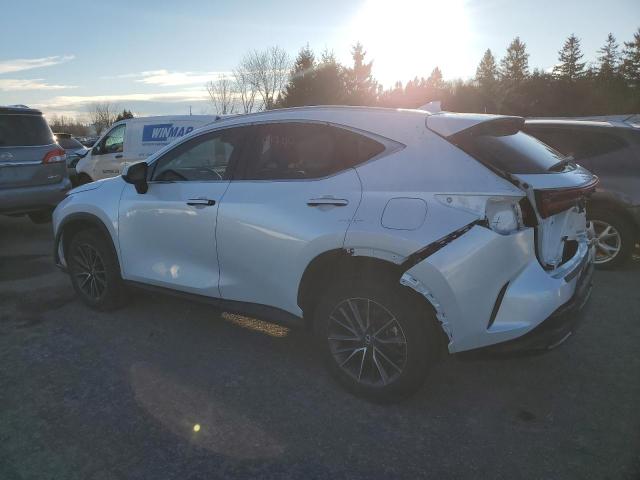 2022 LEXUS NX 250 2T2ADCEZ8NC002363