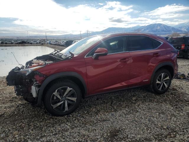 LEXUS NX 300H 2020 red  hybrid engine JTJGJRDZ0L2143996 photo #1