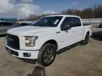 2017 FORD F150 SUPER - 1FTEW1CP7HKD30303