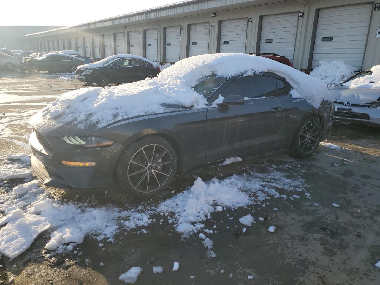 FORD MUSTANG