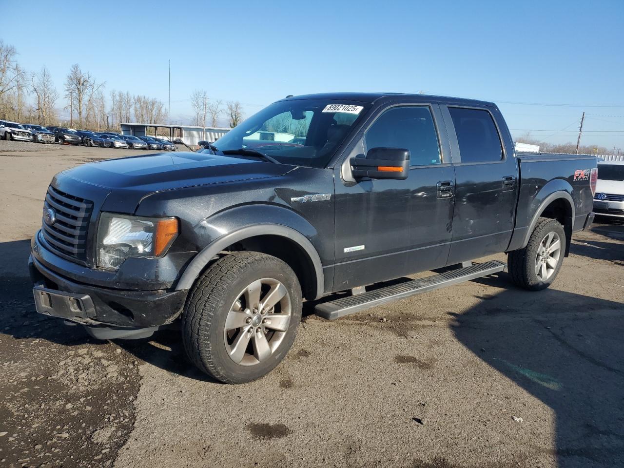  Salvage Ford F-150