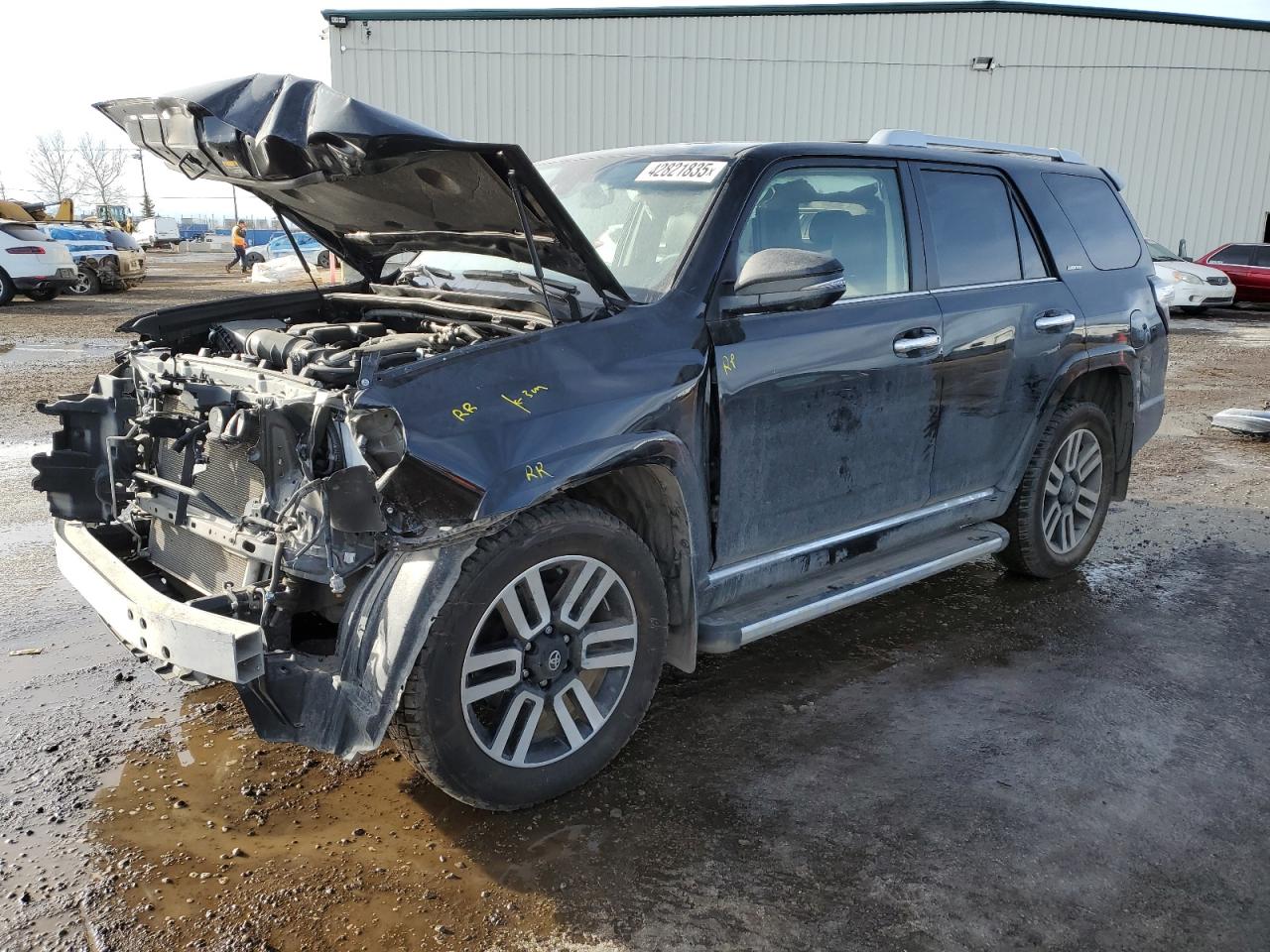 JTEKU5JR9P6120115 TOYOTA 4RUNNER LI 2023