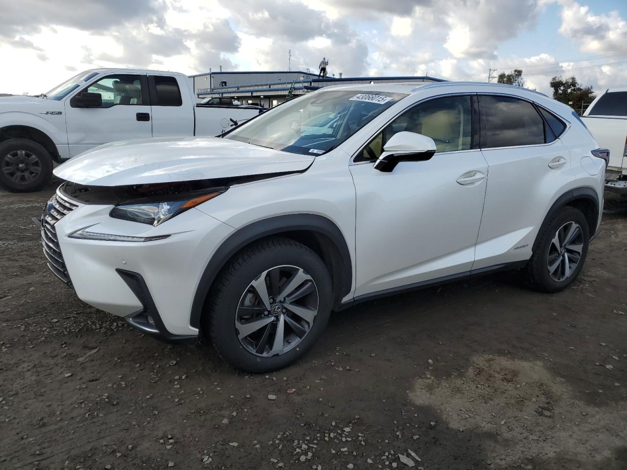 JTJGJRDZ5L5002341 LEXUS NX 300H 2020